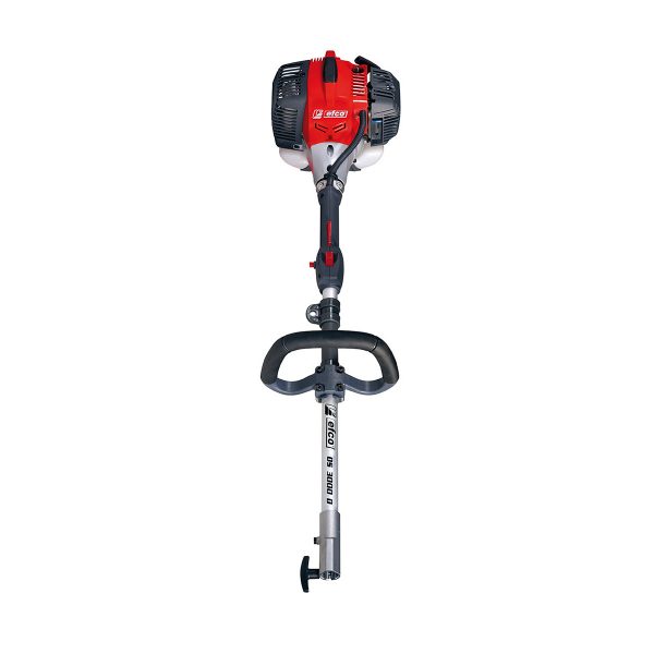 Decespugliatori multifunzione DS 3000 D EFCO