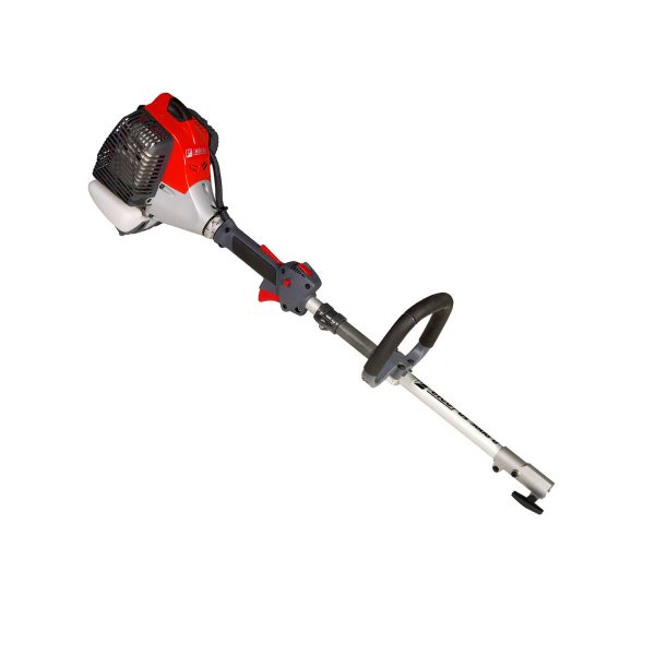 Decespugliatori multifunzione DS 3000 D EFCO - immagine 3