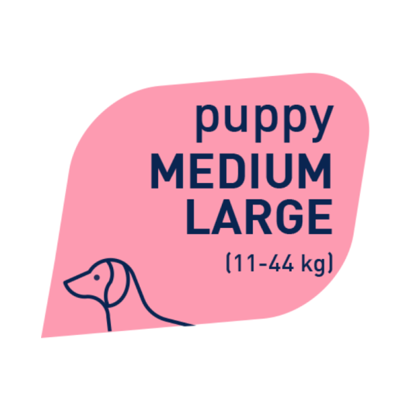 Crocchette Sensitive Agnello e Riso Medium Puppy Prolife - immagine 3