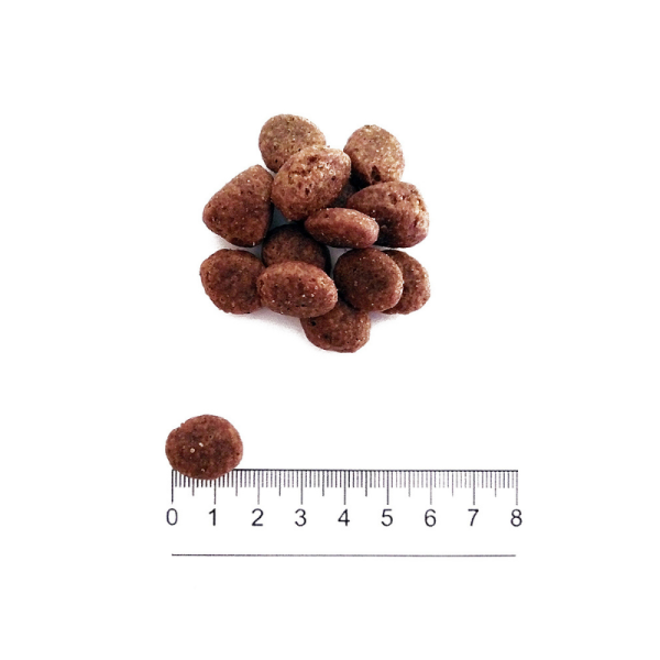 Crocchette Grain Free Maiale Fresco e Patate Medium Large Adult Prolife - immagine 2