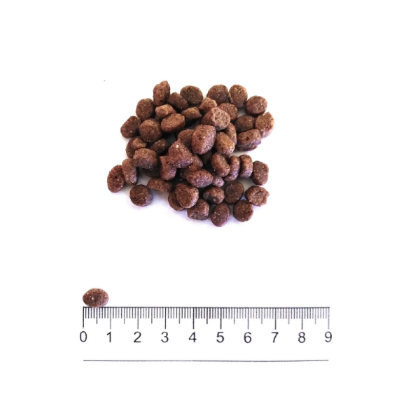Crocchette Smart Pollo e Riso Mini Puppy Prolife - immagine 2